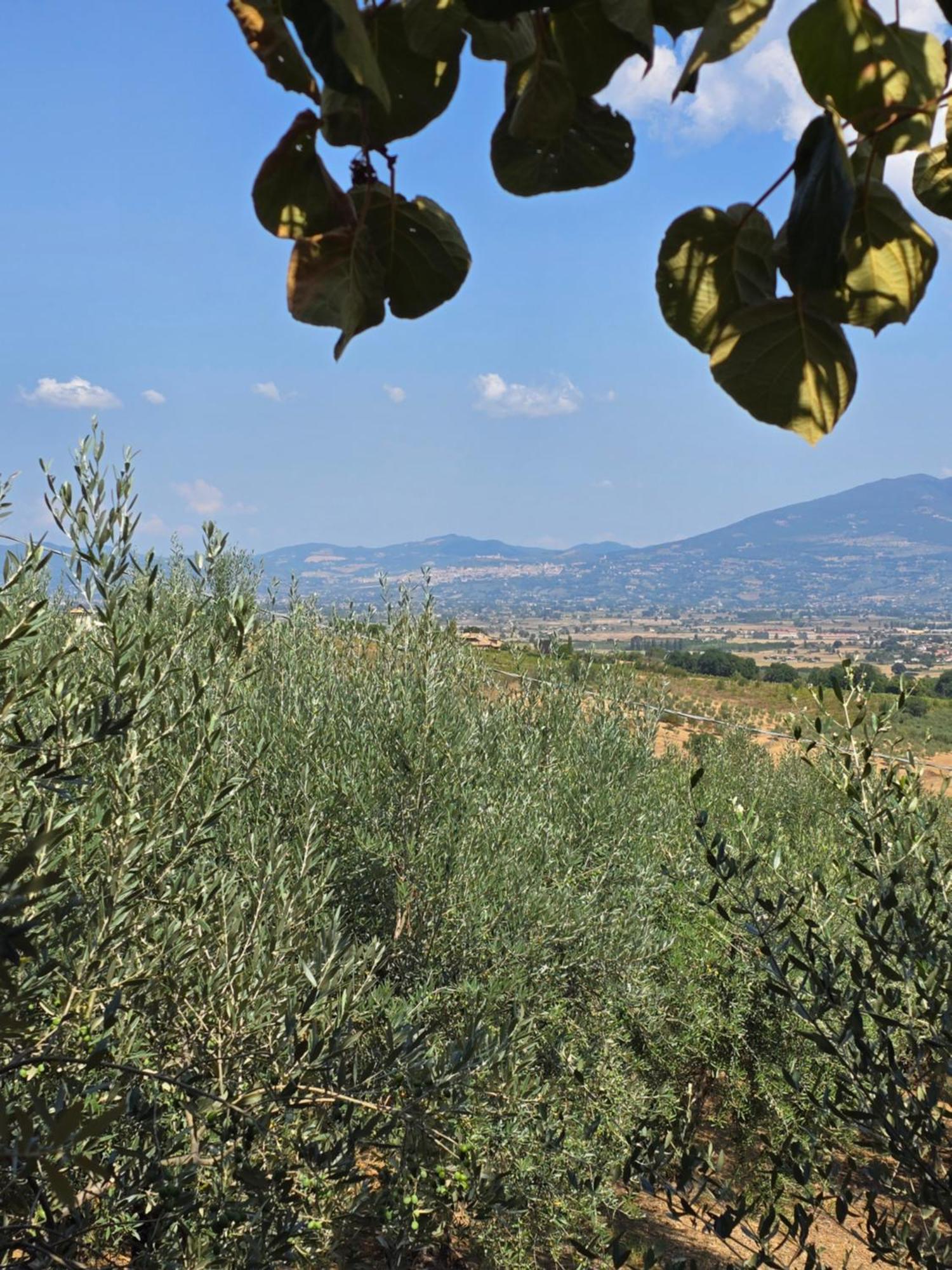 Dimora Kalipe Βίλα Limigiano Εξωτερικό φωτογραφία