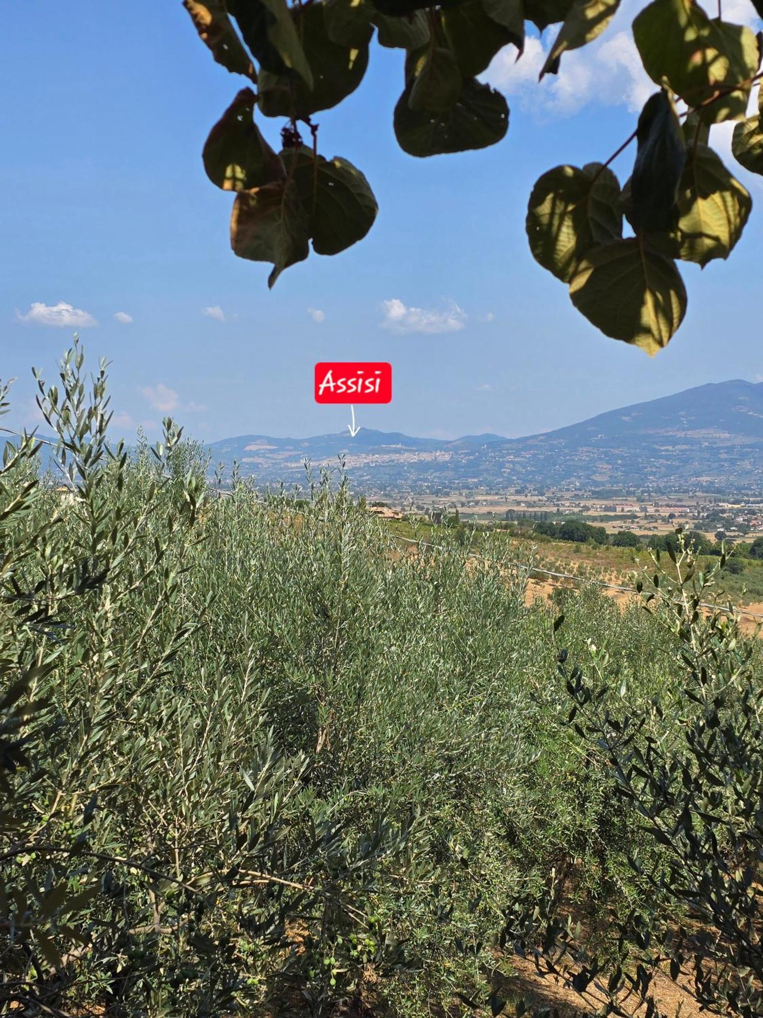 Dimora Kalipe Βίλα Limigiano Εξωτερικό φωτογραφία
